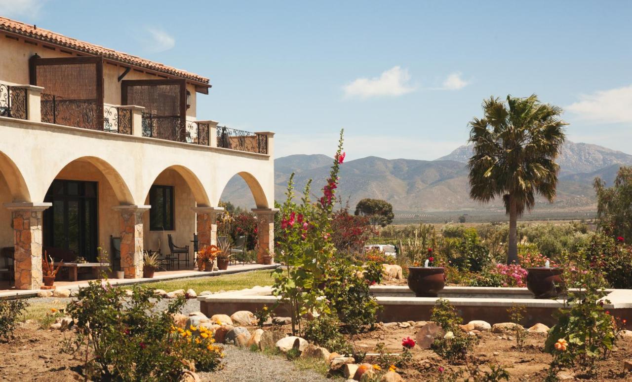 La Villa Del Valle Valle de Guadalupe Exterior foto